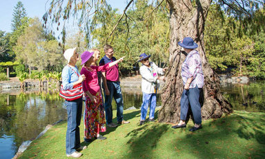 Free guided tour - Brisbane Botanic Gardens Mt Coot-tha
