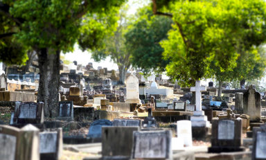 Balmoral Art Month - Sketching in the cemetery
