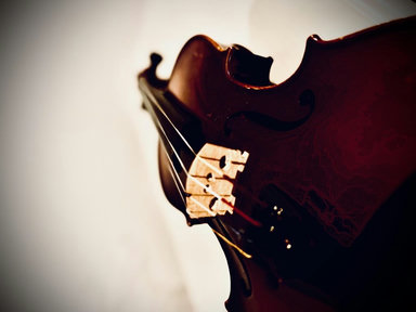Bands in Parks: Strings in the House