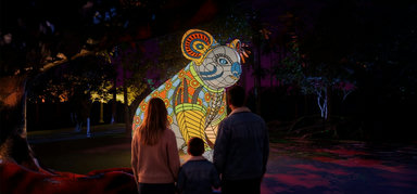 Botanic By Night: NightGlow