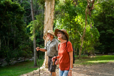 Connect with Nature: Guided Forest Therapy