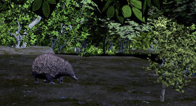 Explore nocturnal habitats with virtual reality