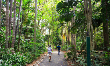 Free guided tour - City Botanic Gardens