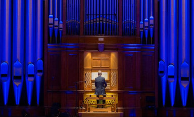 Lord Mayor's City Hall Concerts - Christopher Wrench