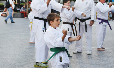 Martial arts