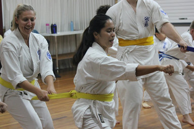 Seido Karate Classes for Adults & Teens