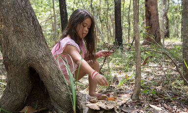 Senses alive: see, hear and touch nature