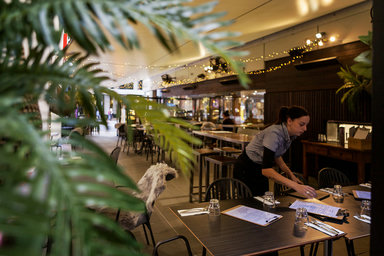 Alta Cafe & Catering