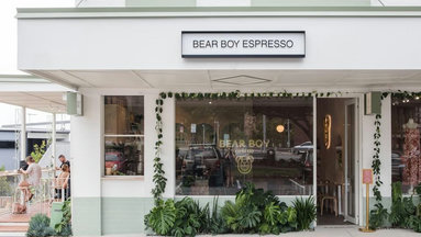 Bear Boy Espresso