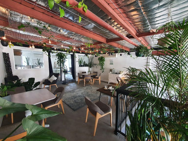 epilo - Coffee & Plants