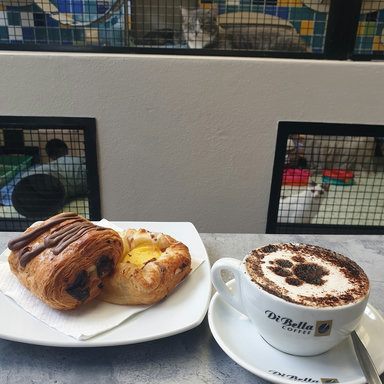 RSPCA Black Cat Café