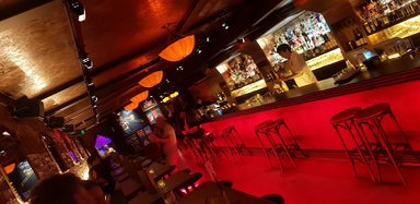 The Alligator Club