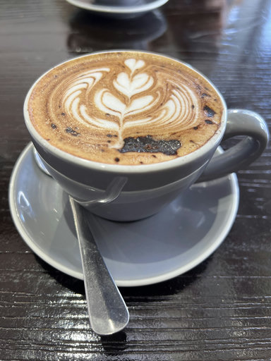 The No Sugar Specialty Coffee