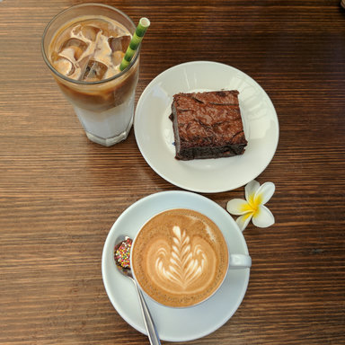 The Wired Owl Coffee Co